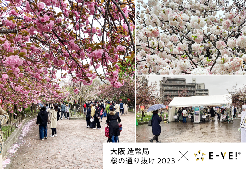 桜の通り抜け